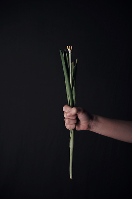 포토 JPG 해외이미지 손 계절 여자 기념일 꽃잎 꽃 분홍색 꽃다발 백그라운드 꽃무늬 손가락 자연 휴가 발렌타인데이 건강 선물 사랑 사람없음 장식 초록색 뷰티 유행 정원 보라색 봄 화장품 낭만 벚꽃 신선 잡기 플랫 상품 정상 손톱관리 피부 주기 유기농 팔 내추럴 고립 돌봄 해외202309 해외포토 식물 웰빙 감정 컬러 컨셉 무늬 모션 데이이벤트 사람 이벤트 신체부위 네일아트 생태계 파일형식