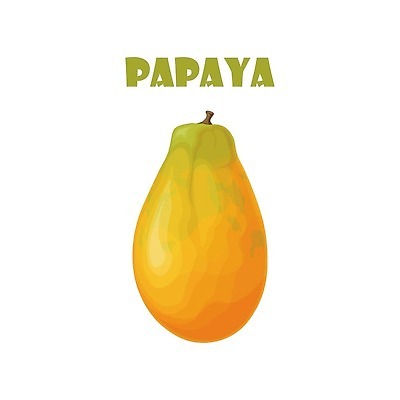 EPS 해외이미지 식물 손 디자인 배너 음식 컬러 조각 백그라운드 잎 패턴 다이어트 오렌지 과일 일러스트 자연 디저트 건강 미술 씨앗 초록색 여름 흰색 신선 달콤 맛 만화 자르기 심볼 오브젝트 유기농 날것 슬라이스 비타민 내추럴 고립 숙성 이국적 채식주의자 파파야 벡터 맛있는 해외202309 해외일러스트 웰빙 계절 컨셉 무늬 모션 문화예술 신체부위 열대과일 생태계 채식 영양소 파일형식