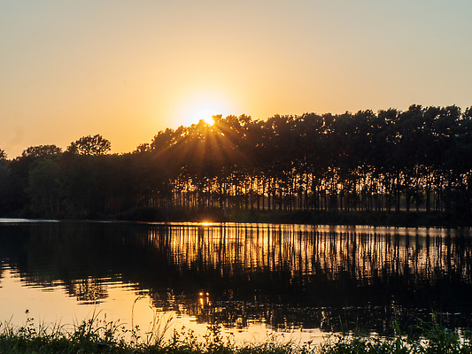 포토 JPG 해외이미지 나무 호수 선 오렌지 자연 하늘 아침 동화 휴식 사람없음 물 파란색 강 햇빛 태양 뷰티 반사 평화 일출 화목 침묵 황혼 일몰 놀람 새벽 거울 안개 황무지 저녁 심플 마법 느림 수평선 해외202309 해외포토 주간 자연요소 식물 감정 컬러 컨셉 과일 날씨 표정 노을 소리 야간 생태계 파일형식