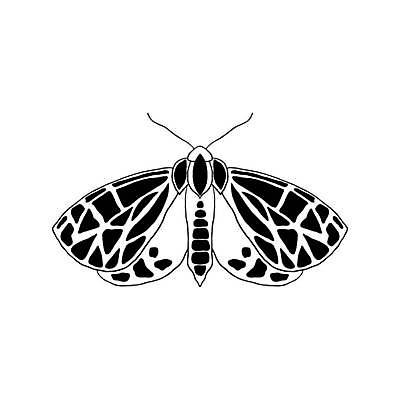 EPS 해외이미지 야생동물 나비 곤충 꽃무늬 절지류 날개 일러스트 그래픽 장식 뷰티 검은색 흰색 해충 낙서 인쇄 심볼 사인 그림 윤곽 나방 내추럴 엘리먼트 이국적 스타일 벡터 해외202309 해외일러스트 동물 꽃 컬러 무늬 벌레 파일형식