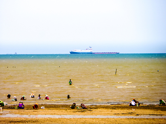 포토 JPG 해외이미지 동물 여자 행복 음식 모래 바다 여행 백그라운드 태국 자연 휴가 어류 사람 사람없음 야외 초록색 물 여름 파란색 컬러풀 게 껍질 가을 신선 해조류 해산물 검색 낚시꾼 발견 7월 땅파기 해외202309 해외포토 자연요소 계절 감정 아시아 컬러 갑각류 수중동물 날짜 해양식물 생태계 파일형식