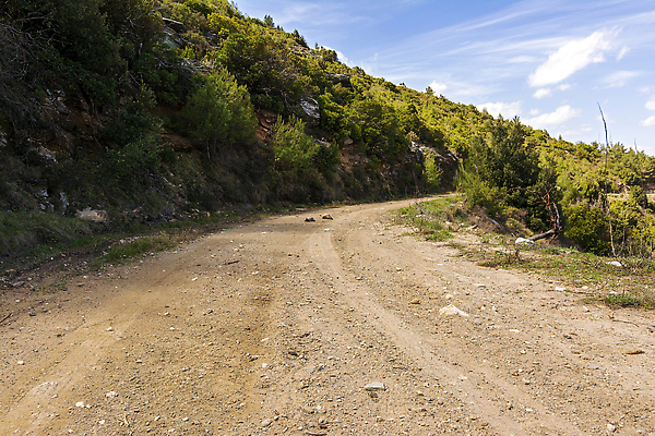 포토 JPG 해외이미지 나무 동물 한마리 커플 도로 야생동물 여행 파충류 모션 자연 하늘 풍경 사람없음 야외 갈색 걷기 환경 맑음 산책 환자 껍질 황무지 거북이 먼지 암초 멸종 느림 내추럴 땅바닥 루트 방법 보호구역 흙길 해외202309 해외포토 식물 1 길 컬러 의학 관계 교통시설 날씨 휴식 바닥 흙 생태계 구역 파일형식
