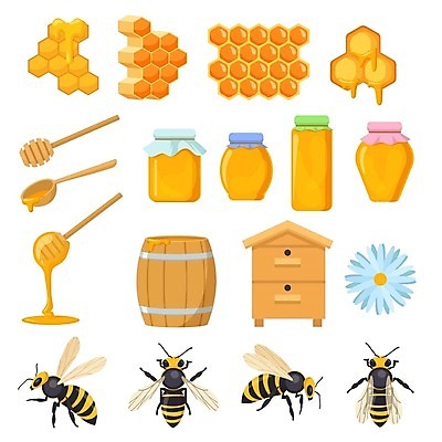 EPS 해외이미지 템플릿 디자인 배너 꽃 음식 곤충 백그라운드 컨셉 일러스트 비즈니스 자연 세포 건강 그래픽 세트 컬러풀 농장 노란색 숟가락 머리빗 항아리 액체 플랫 달콤 맛 떨어짐 말벌 상품 만화 설탕 벌 심볼 유기농 꿀 벌집 내추럴 고립 밀랍 양봉 양봉장 왁스 벡터 해외202309 해외일러스트 식물 동물 웰빙 컬러 농업 수저 미용용품 도자기 벌_곤충 생태계 파일형식