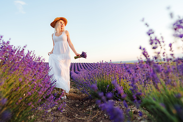 포토 JPG 해외이미지 전신 응시 여자 꽃다발 꽃밭 한명 들기 성인 야외 금발 일몰 잡기 밀짚모자 라벤더 프로방스 성인여자한명만 해외202309 해외포토 모자_잡화 1 헤어스타일 시선 꽃 모션 사람 노을 허브 여자한명만 성인여자만 파일형식