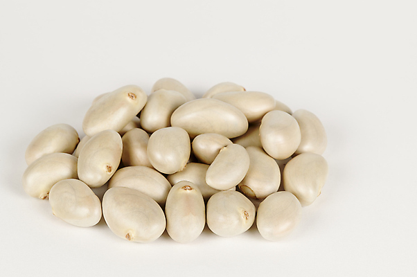 포토 JPG 해외이미지 아시아 음식 농업 재료 건조 건강 요리 씨앗 동양인 사람없음 쌓기 신선 그룹 맛 인도인 흰배경 알맹이 날것 내추럴 단백질 식용 이국적 채식주의자 케랄라주 많음 비건 맛있는 해외202309 해외포토 외국인 식물 나라 산업 백그라운드 컨셉 모션 인종 흰색 인도_나라 채식 영양소 파일형식