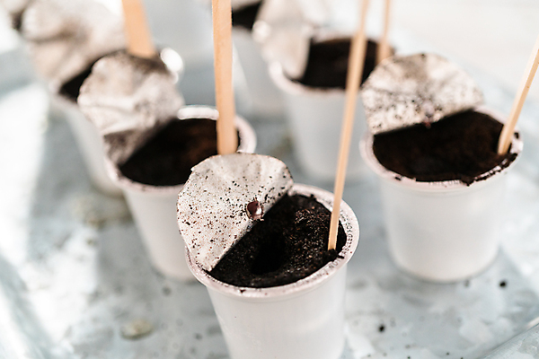 포토 JPG 해외이미지 실내 사람없음 아웃포커스 환경 흙 원예 일렬 나무막대 해외202309 해외포토 촬영기법 취미 내부 막대 파일형식