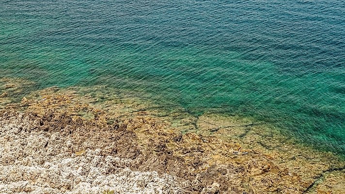 포토 JPG 해외이미지 나무 파도 바다 섬 여행 백그라운드 자연 벽지 하늘 휴가 휴식 산 해변 사람없음 야외 물 파란색 빛 태양 뷰티 반사 평화 일출 맑음 만 저녁 장면 내추럴 수평선 해외202309 해외포토 자연요소 식물 컬러 컨셉 날씨 노을 야간 생태계 파일형식