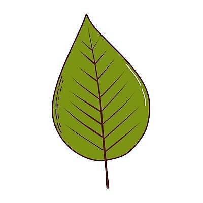 EPS 해외이미지 식물 손 디자인 배너 계절 백그라운드 컨셉 단풍 잎 꽃무늬 오렌지 일러스트 학교 자연 벽지 추상 미술 그래픽 장식 빨간색 세트 컬러풀 노란색 파티 봄 황금 플랫 9월 11월 수집 심볼 사인 질감 추수감사절 10월 고립 엘리먼트 벡터 해외202309 해외일러스트 교육 꽃 기독교 컬러 무늬 과일 문화예술 이벤트 신체부위 날짜 생태계 파일형식