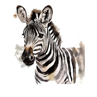 EPS 해외이미지 야생동물 일러스트 사람없음 귀여움 질감 번짐 얼룩말 해외202309 해외일러스트 동물 컨셉 말_동물 파일형식 벡터 효과