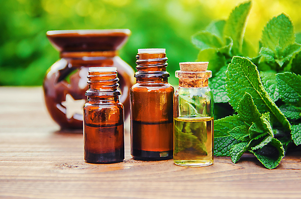 포토 JPG 해외이미지 잎 유리병 사람없음 야외 약초 민트 해외202309 해외포토 식물 병_용기 풀_식물 허브 파일형식