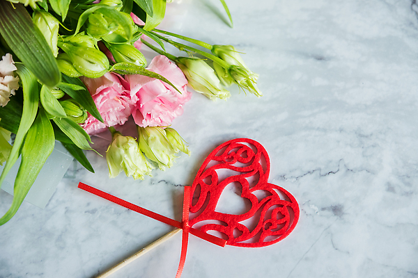 포토 JPG 해외이미지 모양 식물 디자인 커플 기념일 꽃잎 꽃 행복 리본 분홍색 꽃다발 결혼 컨셉 꽃무늬 자연 탁자 휴가 친절 발렌타인데이 선물 사랑 사람없음 장식 빨간색 뷰티 장미 세일 우주 낭만 수확 벚꽃 흰색 축하 인사 신선 신용카드 생일 다발 심볼 초대 카피스페이스 해외202309 해외포토 감정 컬러 가구 무늬 농업 관계 데이이벤트 이벤트 금융 공백 예절 생태계 파일형식