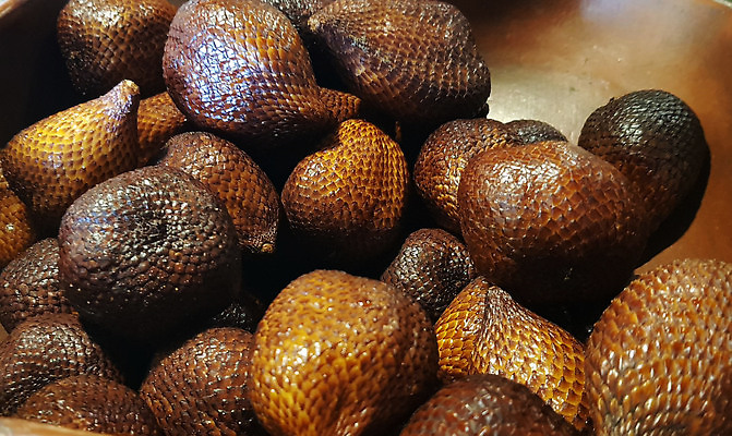 포토 JPG 해외이미지 길 클리핑패스 음식 백그라운드 다이어트 과일 자연 디저트 건강 손바닥 동양인 사람없음 옆모습 빛 야자수 갈색 흰색 신선 그룹 달콤 자르기 유기농 질감 날것 인도네시아 비타민 내추럴 강렬 고립 숙성 이국적 채식주의자 해외202309 해외포토 나무 손 웰빙 아시아 뷰포인트 컬러 모션 인종 맛 생태계 채식 영양소 파일형식