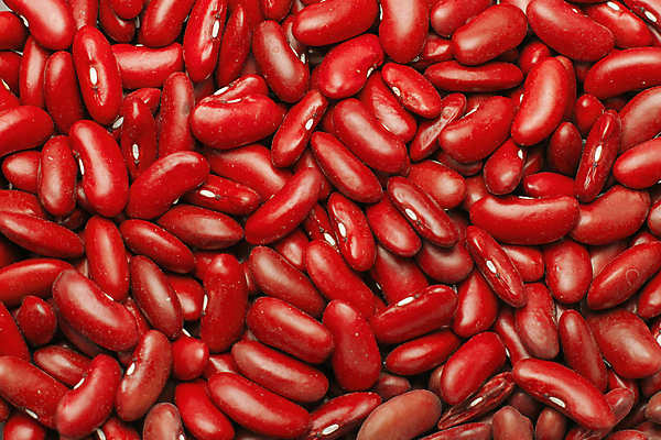 포토 JPG 해외이미지 식물 라이프스타일 음료 음식 컬러 백그라운드 농업 채소 과일 재료 자연 추상 콩 건조 건강 식이요법 씨앗 사람 사람없음 가로 빨간색 농작물 뷰티 반사 바구니 보라색 어둠 젖음 금지 화려 신장 선택 먹기 유기농 질감 파일 날것 문학 섬유 채식주의자 해외202309 해외포토 웰빙 산업 컨셉 무늬 모션 곡류 생활 직물 비뇨기관 생태계 채식 파일형식