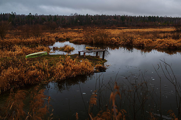 포토 JPG 해외이미지 호수 바다 여행 자연 하늘 휴식 사람없음 야외 목재 물 파란색 강 뷰티 반사 평화 항구 침묵 낭만 고독 저녁 부식 방파제 장면 옛날 수평선 해외202309 해외포토 자연요소 나무 공공시설 감정 컬러 컨셉 재료 교통시설 소리 야간 생태계 파일형식