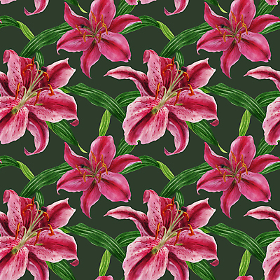 포토 JPG 해외이미지 식물 꽃 별 분홍색 꽃무늬 자연 동양인 사람없음 직물 아로마 라일락 해외202309 해외포토 자연요소 컬러 무늬 인종 생태계 파일형식