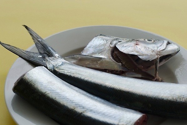 포토 JPG 해외이미지 접시 바다 재료 낚시 건강 어류 요리 사람없음 머리 신선 잡기 청소 해산물 준비 꼬리 날것 생식 해외202309 해외포토 식기 모션 레저 신체부위 수중동물 파일형식