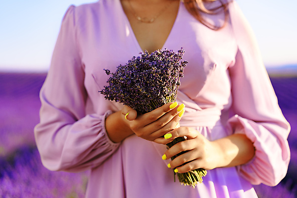포토 JPG 해외이미지 여자 꽃다발 꽃밭 한명 들기 상반신 성인 야외 일몰 라벤더 프로방스 성인여자한명만 해외202309 해외포토 1 꽃 모션 사람 노을 허브 여자한명만 성인여자만 파일형식