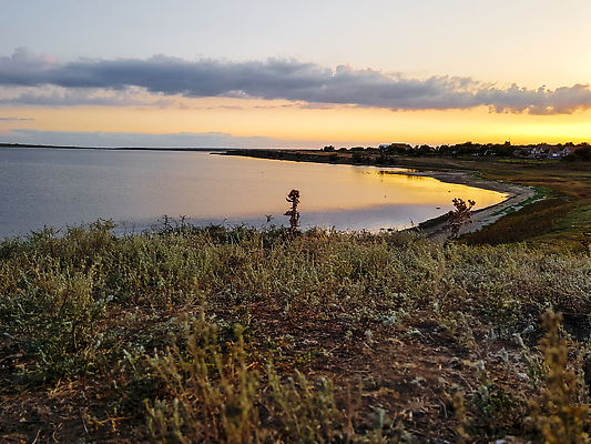 포토 JPG 해외이미지 식물 계절 꽃 호수 바다 컬러 여행 백그라운드 밭 농업 오렌지 자연 하늘 사람없음 야외 초록색 물 파란색 빛 태양 뷰티 노란색 일출 일몰 시골 만 티켓 저녁 허브 7월 내추럴 수평선 해외202309 해외포토 자연요소 산업 과일 노을 날짜 야간 생태계 파일형식
