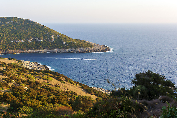 포토 JPG 해외이미지 나무 파도 바다 컬러 여행 백그라운드 오렌지 자연 벽지 하늘 휴가 파노라마 풍경 사람없음 물 여름 빛 햇빛 뷰티 침묵 낭만 전원 보트 저녁 지중해 그리스 언덕 암초 천국 내추럴 무한 웅장함 수평선 해외202309 해외포토 자연요소 식물 계절 유럽 컨셉 배_교통 과일 촬영기법 태양 소리 전기에너지 야간 생태계 파일형식