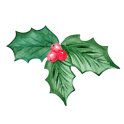 포토 JPG 해외이미지 나무 식물 전통 손 디자인 계절 열매 백그라운드 잎 크리스마스 겨울 일러스트 자연 휴가 새해 미술 사람없음 그래픽 장식 빨간색 초록색 화환 수확 흰색 나뭇가지 축하 그리기 클래식 인쇄 12월 스케치 심볼 오브젝트 상록수 고립 노엘 시베리아 국경 해외202309 해외일러스트 기념일 꽃 컬러 컨셉 농업 모션 문화예술 신체부위 날짜 생태계 파일형식