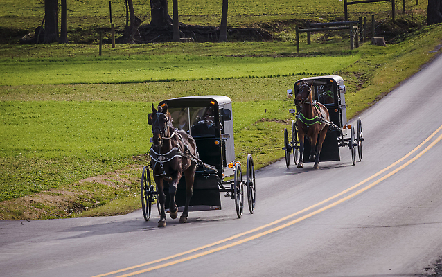 포토 JPG 해외이미지 동물 전통 라이프스타일 기독교 종교 도로 여행 밭 농업 교통시설 자연 주택 사람 풍경 사람없음 야외 뷰티 농가 농장 농경지 미국 카트 운전 수확 가을 시골 역사 승차 그림 복고 마차 유모차 커뮤니티 구식 옛날 평야 해외202309 해외포토 계절 산업 길 교통수단 교통 북아메리카 모션 건물 생활 아기용품 시설 생태계 파일형식