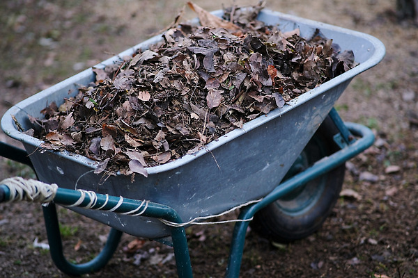 포토 JPG 해외이미지 직업 산업 백그라운드 농업 교통시설 모션 노동자 서브 쟁반 손잡이 사람없음 농장 금속 정원 카트 수레 장비 화물 흰색 공구 업무 바퀴 컨테이너 싱글 원예 타이어 시멘트 무거움 고립 밭일 옛날 의무 콘크리트 비어있는 해외202309 해외포토 컬러 교통 재질 취미 운송업 도구 작업 무게 시설 파일형식