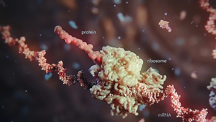 포토 JPG 해외이미지 과학 건강 사람없음 약 바이러스 DNA 생명공학 유기농 생물학 원자 테라피 박테리아 반항 고립 단백질 해외202309 해외포토 웰빙 교육 의학 모션 뷰티 영양소 파일형식
