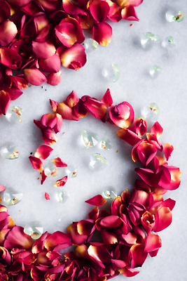 포토 JPG 해외이미지 꽃잎 분홍색 백그라운드 곡선 사람없음 장미 카피스페이스 해외202309 해외포토 꽃 선 컬러 공백 파일형식