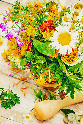 포토 JPG 해외이미지 꽃 잎 사람없음 바구니 방망이 약초 해외202309 해외포토 식물 풀_식물 파일형식