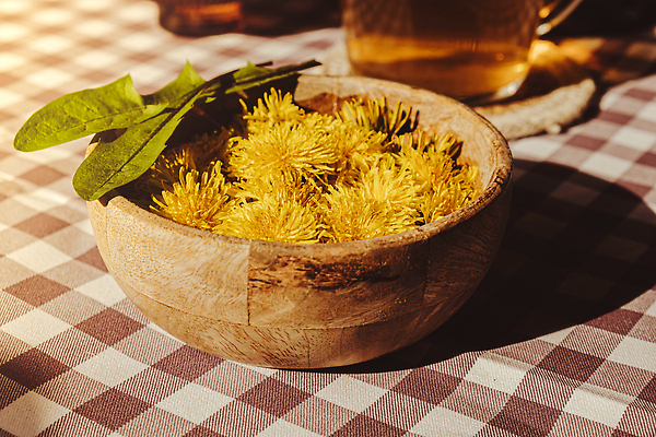 포토 JPG 해외이미지 사람없음 노란색 식탁보 찻잔 민들레 컵받침 체크무늬 찻잎 꽃차 해외202309 해외포토 꽃 컬러 무늬 잔 차_음료 받침대 파일형식