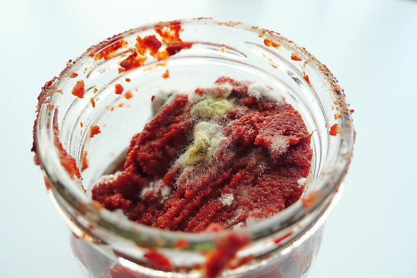 포토 JPG 해외이미지 토마토 모션 사람없음 빨간색 회색 젖음 흐름 흰색 죽음 보호 질병 위험 감염 미생물 통조림 낭비 곰팡이 방법 밭일 썩음 해외202309 해외포토 컬러 컨셉 채소 의학 생물 파일형식