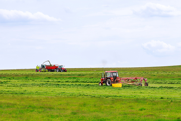 포토 JPG 해외이미지 식물 계절 산업 밭 농업 자연 하늘 건조 사람없음 빨간색 초록색 파란색 농작물 농장 농경지 기계 장비 수확 시골 업무 소 볏짚 농부 먹이 땅 회전 트랙터 트레일러 밭일 사방 해외202309 해외포토 직업 컬러 포유류 작업 짚 농기계 생태계 특수차량 파일형식