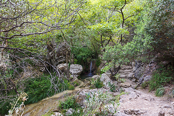 포토 JPG 해외이미지 나무 유럽 호수 야생동물 여행 백그라운드 잎 자연 휴가 휴식 풍경 사람없음 초록색 물 여름 강 환경 침묵 고요 폭포 흐름 탐험 전원 연못 개울 황무지 숲 그리스 순수 그림 장면 암초 천국 발견 파라다이스 스플래쉬 해외202309 해외포토 자연요소 식물 동물 계절 나라 컬러 컨셉 소리 전기에너지 생태계 파일형식
