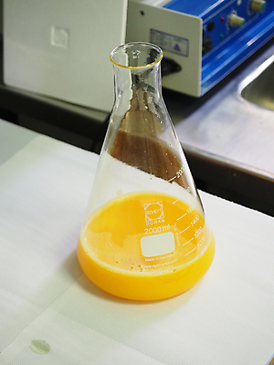 포토 JPG 해외이미지 직업 남자 산업 과학 건강 병원 현미경 실험 사람없음 약 건강관리 장비 의사 코트 작업 액체 작업실 엔지니어 실험실 DNA 생명공학 연구원 집중 과학자 분석 시험관 생물학 미생물 해결 발견 조제 돌봄 바이오 백신 피펫 화학자 해외202309 해외포토 교육 컨셉 의학 모션 생물 실험기구 관리 사람 외투 의료진 기술자 만들기 학자 파일형식