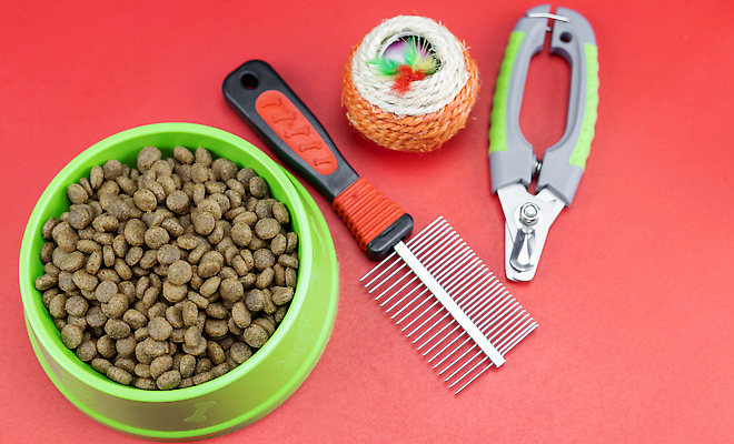 포토 JPG 해외이미지 동물 접시 디자인 음료 음식 컨셉 재료 공 자연 뼈 프레임 건강 사람없음 초록색 물 파란색 반려동물 컬러풀 뷰티 금속 식사 고양이 장비 흰색 대접 원형 개 작음 컨테이너 플라스틱 먹기 오브젝트 흰배경 유기농 몸단장 집게발 항목 카피스페이스 맛있는 해외202309 해외포토 자연요소 도형 식기 웰빙 산업 컬러 백그라운드 포유류 모션 재질 공백 크기 생태계 파일형식