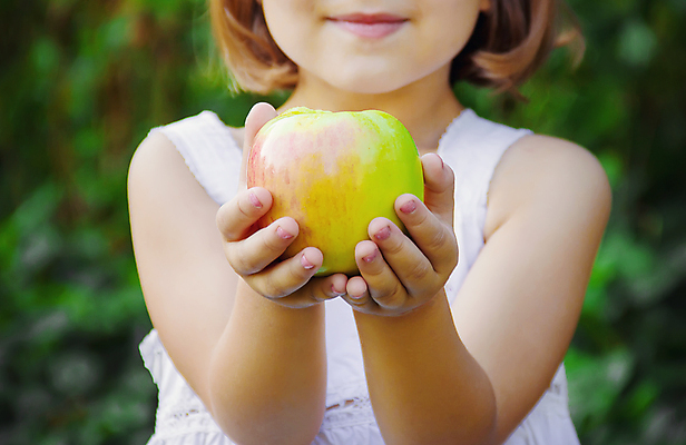 포토 JPG 해외이미지 주간 서양인 여자 어린이 자연 한명 들기 상반신 야외 앞모습 아웃포커스 신선 사과 과수원 사과농장 소녀한명만 해외202309 해외포토 자연요소 외국인 1 뷰포인트 농업 과일 모션 촬영기법 사람 농장 생태계 여자한명만 소녀만 파일형식