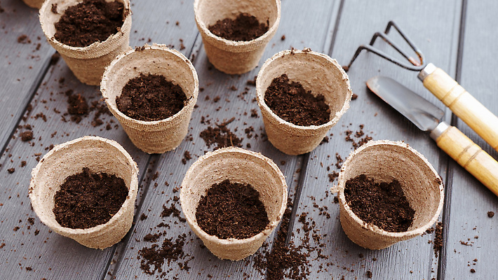 포토 JPG 해외이미지 식물 계절 백그라운드 컨셉 잎 농업 자연 새로움 씨앗 취미 사람없음 초록색 농장 갈색 새싹 정원 농사 흙 봄 성장 도구 신선 냄비 작음 삽 에코 유기농 원예 내추럴 돌봄 모종 묘목 바이오 밭일 심기 착륙 세련 해외202309 해외포토 나무 웰빙 산업 컬러 모션 환경 솥 크기 생태계 파일형식