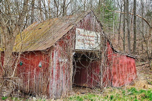 포토 JPG 해외이미지 나무 도로 겨울 밭 건축양식 창문 하늘 지붕 주택 사람없음 건물 목재 빨간색 농장 수확 시골 도시 역사 숲 헛간 외양간 밭일 옛날 해외202309 해외포토 식물 건축물 계절 건축 길 컬러 농업 재료 교통시설 저장고 파일형식