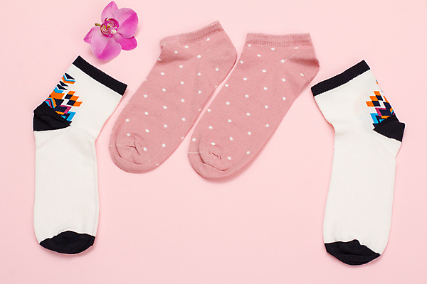 포토 JPG 해외이미지 꽃 분홍색 양말 사람없음 하이앵글 오브젝트 해외202309 해외포토 식물 뷰포인트 컬러 파일형식