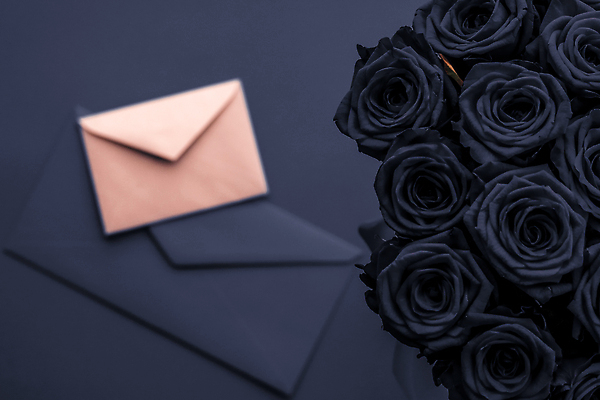 포토 JPG 해외이미지 꽃다발 백그라운드 편지봉투 발렌타인데이 사람없음 장미 남색 러브레터 해외포토 꽃 컬러 데이이벤트 봉투 편지 파일형식