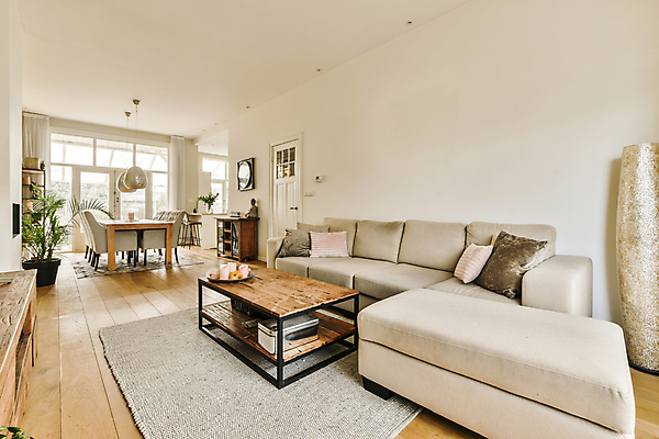 포토 JPG 해외이미지 식물 화분 쿠션 의자 창문 탁자 사람없음 장식 인테리어 소파 문 공간 방 해외202309 해외포토 디자인 가구 파일형식