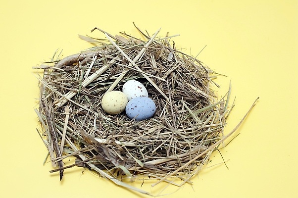 포토 JPG 해외이미지 휴가 사탕 사람없음 컬러풀 과자 초콜릿 축하 얼룩 달콤 둥지 부활절계란 밀짚 해외202309 해외포토 컬러 컨셉 디저트 부활절 계란 맛 짚 파일형식