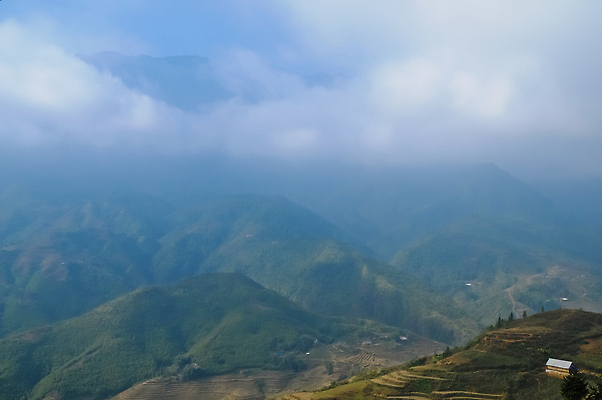 포토 JPG 해외이미지 나무 계절 공원 여행 백그라운드 밭 농업 자연 하늘 산 사람없음 야외 초록색 파란색 햇빛 태양 뷰티 일출 환경 계곡 맑음 봄 활발 안개 흰색 시골 신선 숲 땅 언덕 장면 내추럴 수평선 해외202309 해외포토 자연요소 식물 공공시설 산업 컬러 컨셉 날씨 노을 생태계 파일형식