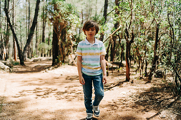 포토 JPG 해외이미지 나무 백인 라이프스타일 공원 길 아들 어린이 여행 잎 자국 자연 사람 소년 사람없음 야외 목재 초록색 여행객 걷기 산책 하이킹 탐험 황무지 숲 오솔길 내추럴 삼림지대 하이커 해외202309 해외포토 서양인 식물 공공시설 남자 컬러 재료 가족 모션 레저 휴식 생활 생태계 파일형식