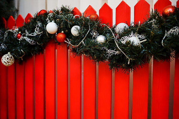 포토 JPG 해외이미지 나무 템플릿 디자인 계절 별 백그라운드 크리스마스 겨울 패턴 불 추상 휴가 새로움 새해 선물 사람없음 장식 초록색 빛 반짝임 장난감 뷰티 얼음 활발 흰색 축하 소나무 점 신용카드 눈송이 황금 연도 활 질감 보케 부드러움 마법 전나무 빛망울 해외202309 해외포토 자연요소 식물 기념일 컬러 컨셉 무늬 모션 눈_날씨 금융 감각 파일형식