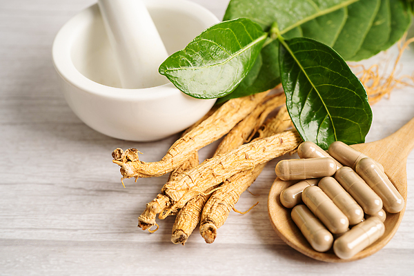 포토 JPG 해외이미지 건강 사람없음 알약 약 숟가락 인삼 허브 유기농 절구 절구방아 해외202309 해외포토 식물 웰빙 의학 수저 도구 삼 파일형식