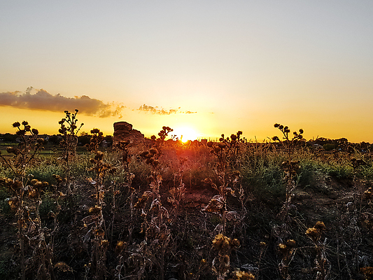 포토 JPG 해외이미지 나무 식물 계절 유럽 음식 분홍색 여행 백그라운드 밭 농업 채소 오렌지 부분 자연 하늘 사람없음 야외 초록색 파란색 농작물 태양 뷰티 농장 노란색 마을 일출 정원 농사 일몰 시골 저녁 숲 땅 언덕 커뮤니티 내추럴 밭일 세련 해외202309 해외포토 자연요소 나라 산업 컬러 과일 노을 야간 생태계 파일형식