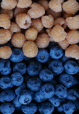 포토 JPG 해외이미지 열매 음식 과일 벽지 건강 사람없음 파란색 뷰티 노란색 검은색 덮개 신선 달콤 맛 아침식사 블루베리 엽서 산딸기 칼로리 단절 채식주의자 해외202309 해외포토 식물 컬러 컨셉 식사 뚜껑 편지 채식 파일형식