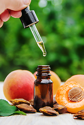 포토 JPG 해외이미지 손 백그라운드 자연 씨앗 신체부위 뷰티 신선 잡기 오일 내추럴 살구 해외202309 해외포토 식물 음식 과일 모션 사람 화장품 생태계 파일형식