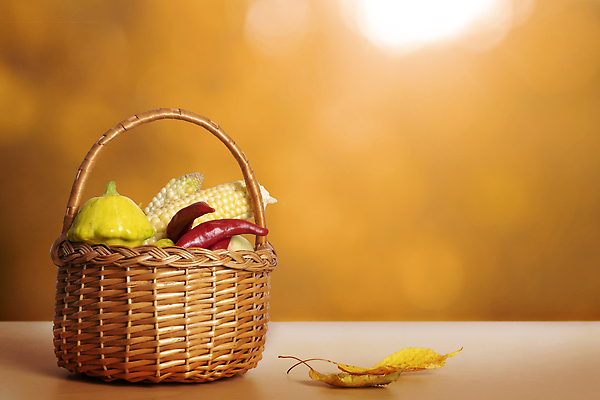 포토 JPG 해외이미지 나무 식물 디자인 계절 백그라운드 단풍 잎 오렌지 자연 유리 탁자 프레임 건조 파노라마 사람없음 야외 목재 장식 빨간색 빛 햇빛 노란색 공백 가을 흰색 나뭇가지 그룹 소프트포커스 9월 11월 보케 10월 내추럴 블러 엘리먼트 카피스페이스 해외202309 해외포토 컬러 가구 과일 재료 재질 촬영기법 태양 날짜 생태계 파일형식